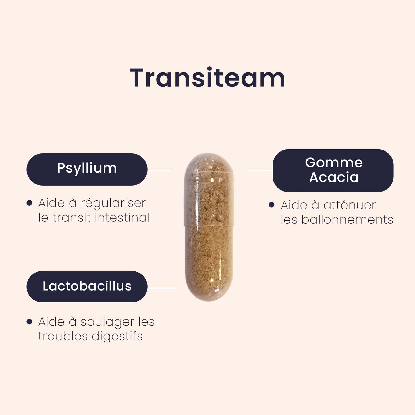 Capsule Transiteam®